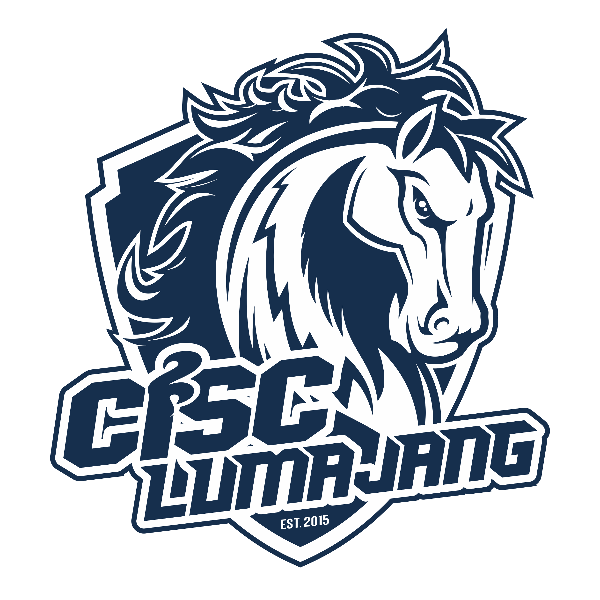 logo team